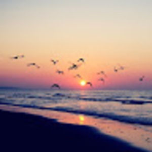 Meet your Posher, Bryson